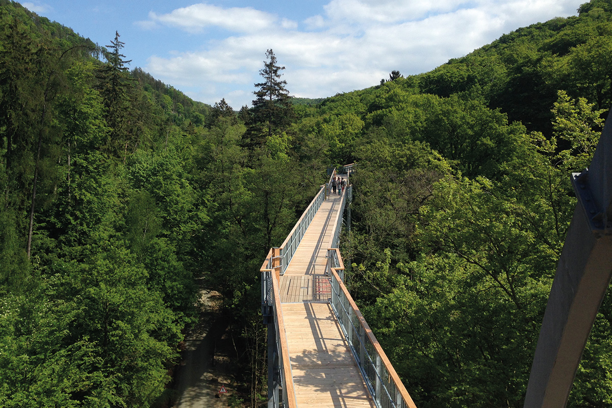 Du betrachtest gerade Tag des Waldes: Wir stellen den Baumwipfelpfad Harz vor