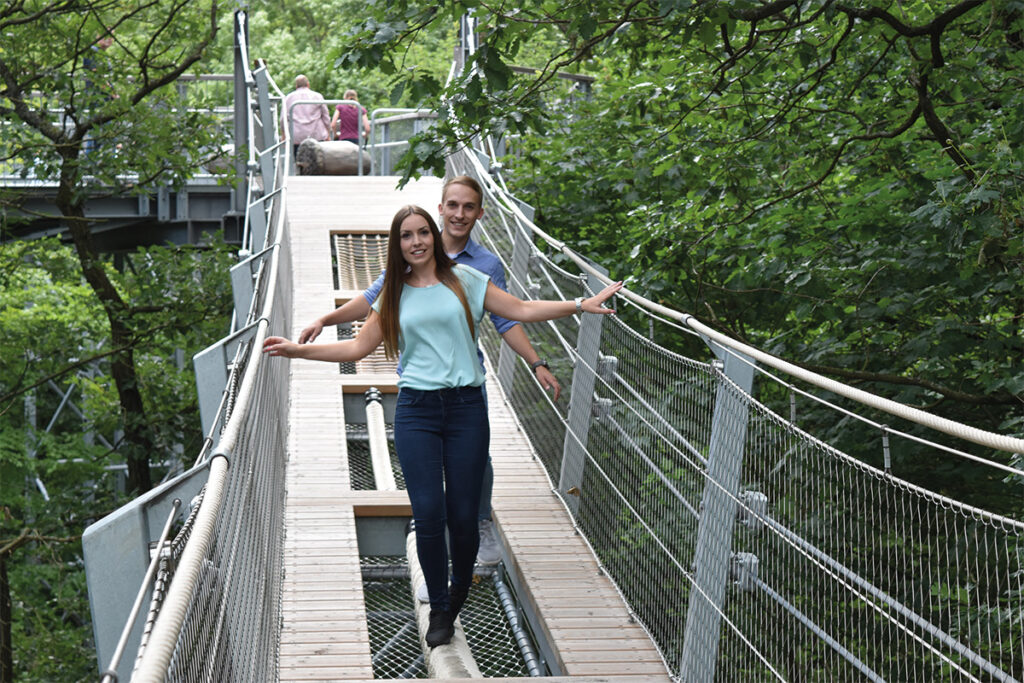 Baumwipfelpfad Harz Hängebrücke