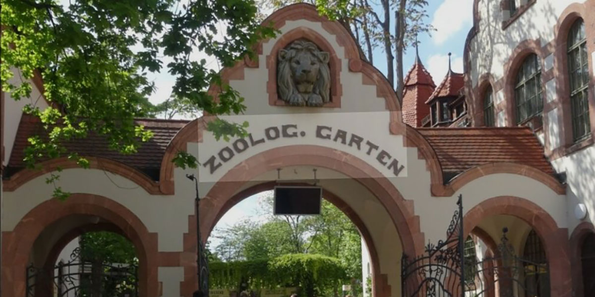 Mehr über den Artikel erfahren Zoo Leipzig